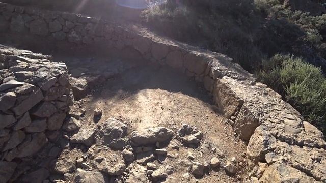 Актуально ли разведение перепелов в следующим году? смотреть онлайн