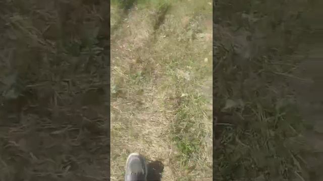 первый Влог🤟🏻 вся правда мы не асмртисты смотреть онлайн