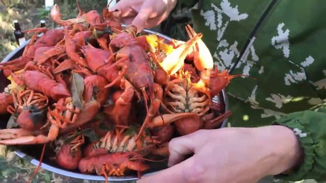 Раки. Варить или жарить смотреть онлайн