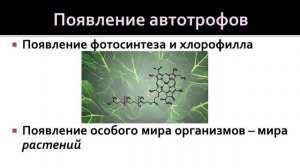 Биология 9 класс. Значение фотосинтеза и биологического круговорота веществ в развитии жизни