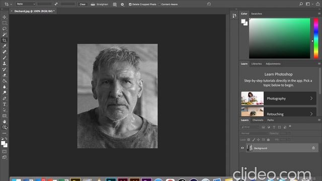 DEM Portrait Step 1 смотреть онлайн