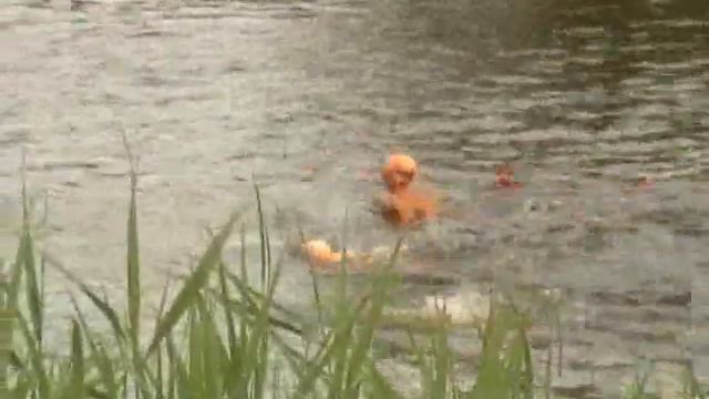 Stadskanaal 500m schoolslag jongens junioren смотреть онлайн