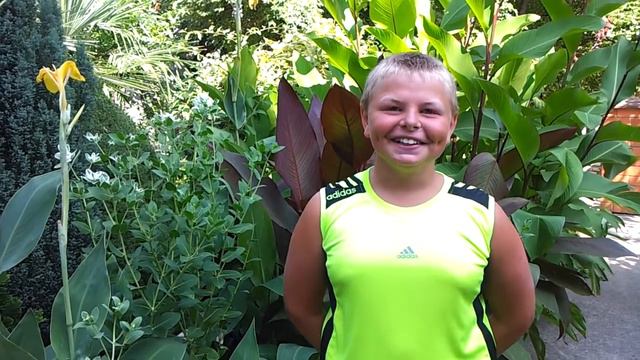 Отзыв о гостиничном комплексе "Приморье" смотреть онлайн