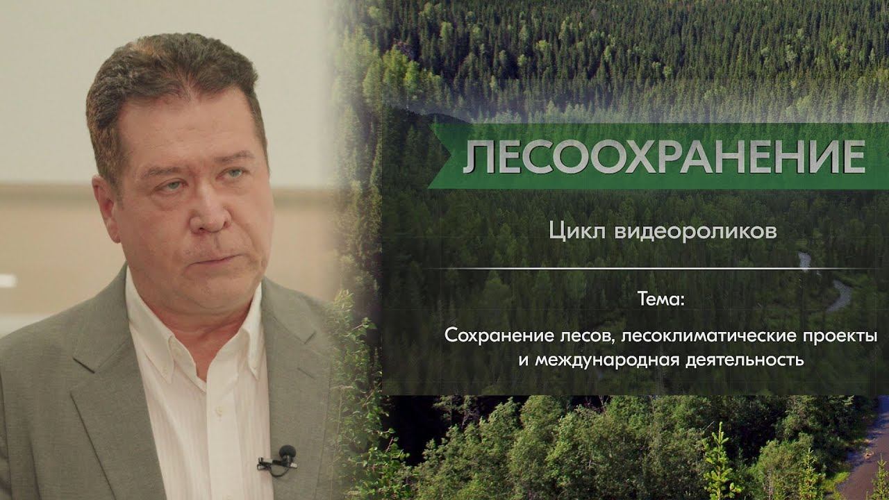 Лобовиков М. А.: сохранение лесов, лесоклиматические проекты и международная деятельность смотреть онлайн