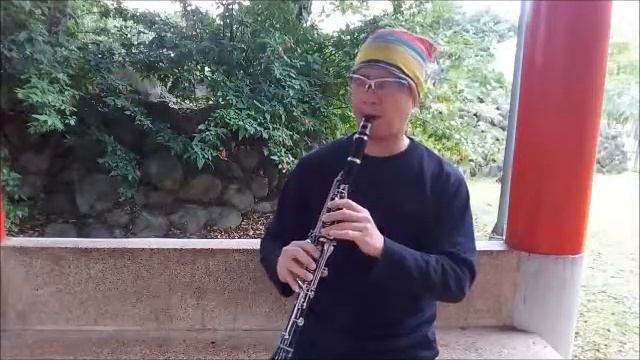 ＸＸＸ-搖嬰仔歌-黑管/豎笛Clarinet練習02(no cover-by 任閒騎miraclemaryboy)降E調 смотреть онлайн