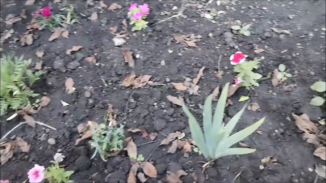 НЕ УЧИТЕ МЕНЯ ЖИТЬ.... МОИ ОТВЕТЫ НА КОМЕНТАРИИ смотреть онлайн