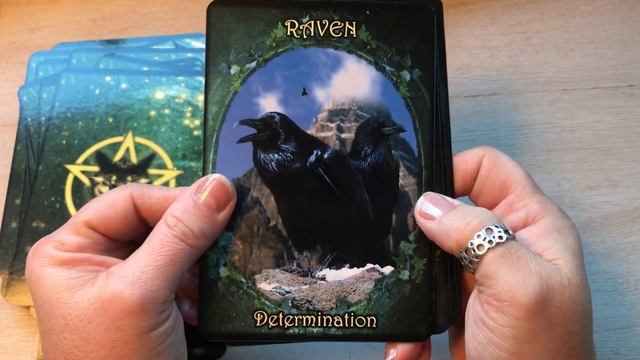 Unboxing Witches’ Familiars Oracle Cards by Barbara Meiklejohn-Free and Flavia Kate Peters смотреть онлайн