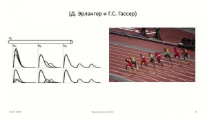 Нервные волокна, нервы, нервные окончания