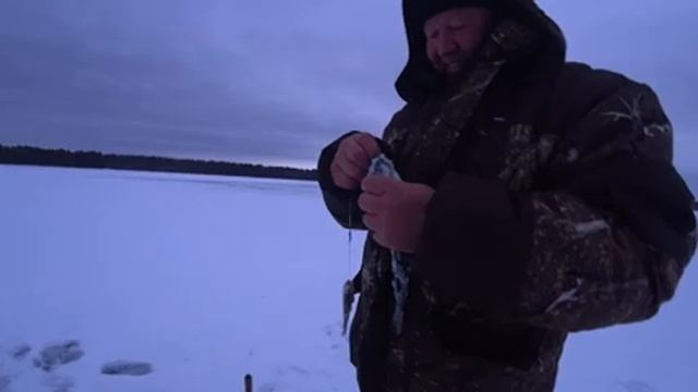 Ловля щуки и тест шуруповёрта смотреть онлайн