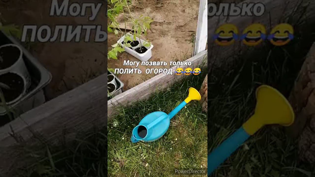 1) Будни в деревне или 2) Выходные в городе? смотреть онлайн