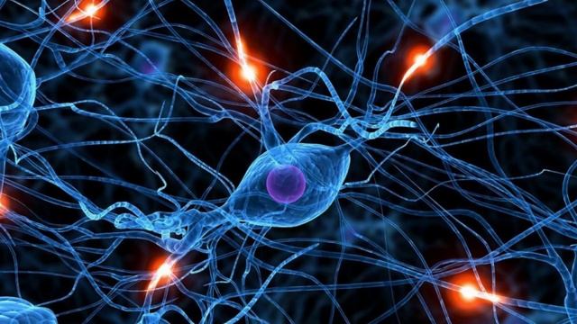 10 ФАКТОВ ПРО СЛЕЗЫ О КОТОРЫХ ВЫ НЕ ЗНАЛИ! смотреть онлайн