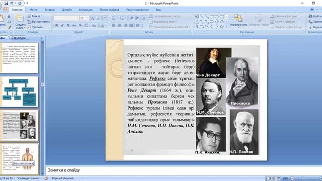 ОФД сабақ 2. Жүйке жүйесінің физиологиясы смотреть онлайн