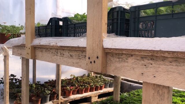 Увеличиваем полезную площадь теплицы / как сделать эконом вариант стеллажей для теплицы смотреть онлайн