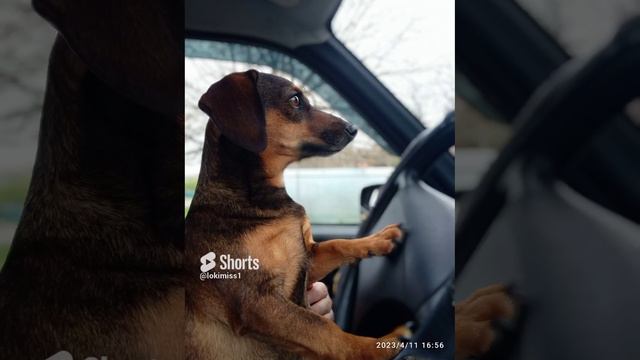 Жизнь так летит.. смотреть онлайн