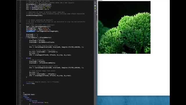 ImageMagick (Imagick) - resize images and crop from the centre - PHP смотреть онлайн