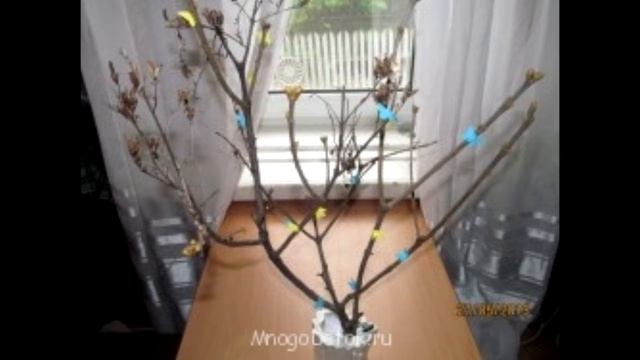 подарок папе деревце открытка смотреть онлайн