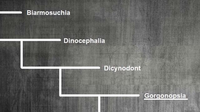 The Ancient ‘Mammals’ that Reigned Before the Dinosaurs смотреть онлайн