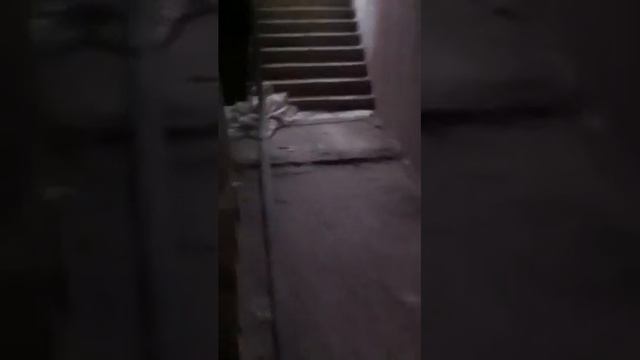 Устройство стяжки 1