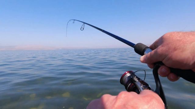 4K 05/11/2023 Kinneret fishing דיג כנרת Кинерет рыбалка смотреть онлайн