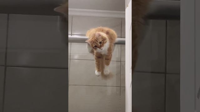 Удобно! смотреть онлайн