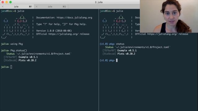 How to get started with Julia 1.0's package manager смотреть онлайн