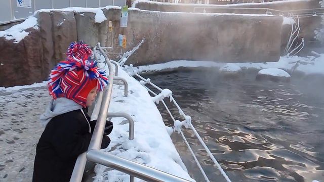 Москва, зоопарк. Котики. смотреть онлайн