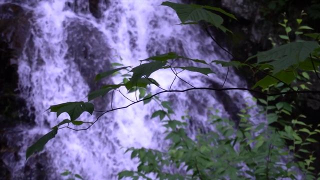 Медитация Встреча с проводником смотреть онлайн