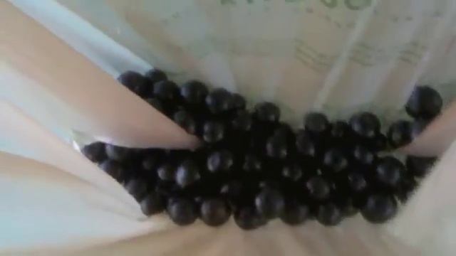 jaboticaba harvest in florida and how to eat a jaboticaba смотреть онлайн