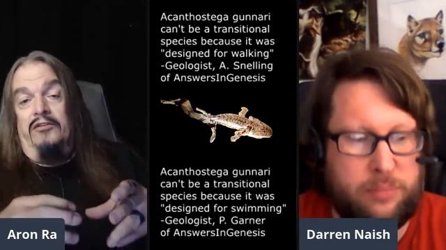 Birds Are definitely Dinosaurs pt9 - taxonomy смотреть онлайн