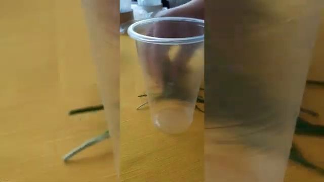 ДЕЛАЮ ДЛЯ МОЕГО НОВОГО КУЗНЕЧИКА ДОМИК??? смотреть онлайн