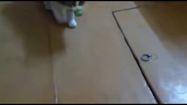 Такого я еще не видела, кошка приносит мяч!!! смотреть онлайн