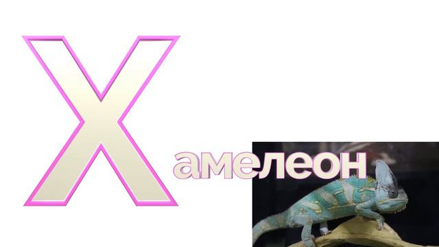 буква х хамелеон смотреть онлайн