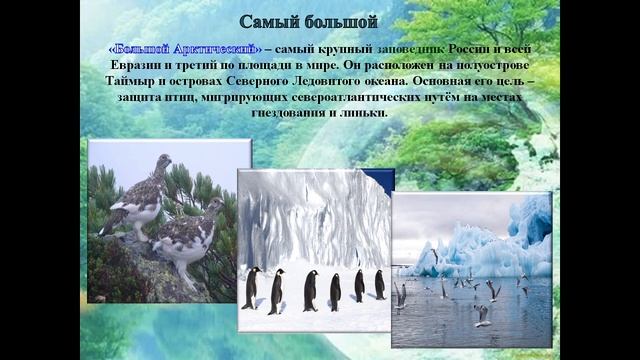 Дом под крышей голубой! смотреть онлайн