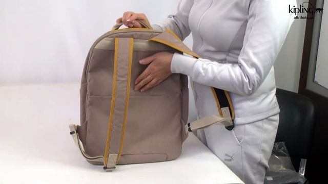 Обзор рюкзака для ноутбука Kipling EDGELAND + / Bold Fungi Bl KI7281_76A смотреть онлайн