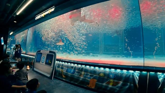 Сеул Океанариум COEX Aquarium inside the COEX Mall in Seoul, South Korea Южная Корея смотреть онлайн