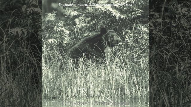 Впечатление (Чтение) смотреть онлайн