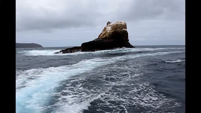 Galapagos Islands смотреть онлайн