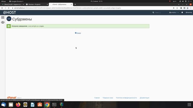Как установить Vue JS в cPanel смотреть онлайн