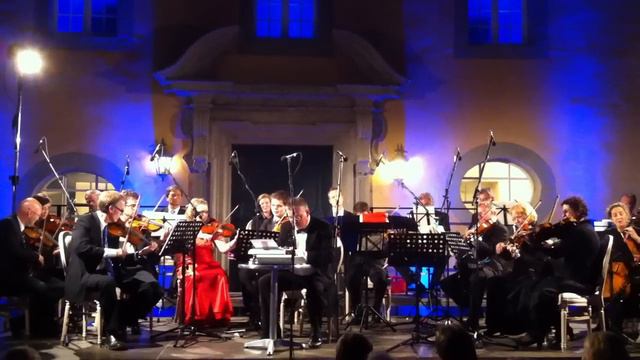 Stefan Palm and the Palm Concertino perform "The Typewriter" by Leroy Anderson смотреть онлайн