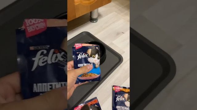 Кормлю кота Felix корм для кошек смотреть онлайн