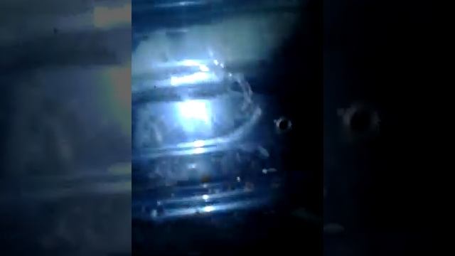 Нуклеус Джинн с плодной маткой установлен в окне на зимовку. смотреть онлайн