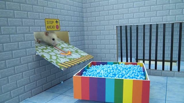New GARTEN OF BANBAN 2: Hamster Prison Break The Maze | Pet Challenge смотреть онлайн