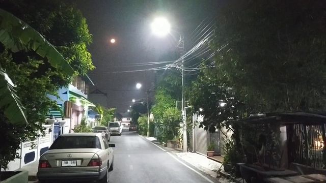 В мире животных: летучие мыши