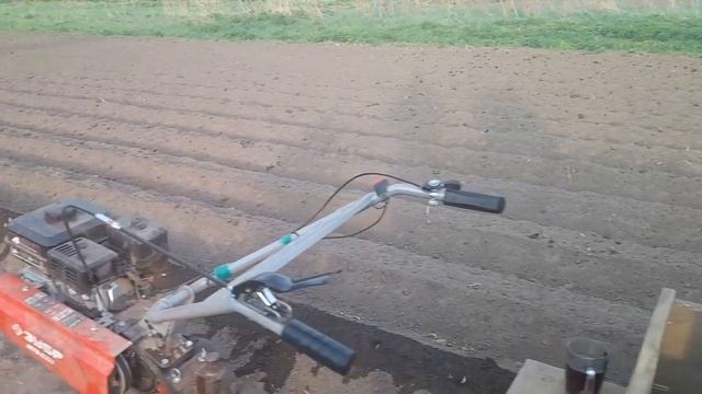 Засуха! Полив огорода.