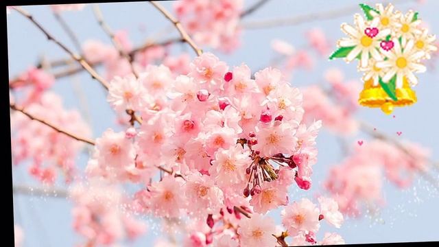 Благовещение в 2019 году 7 апреля Что нельзя делать на Благовещение смотреть онлайн