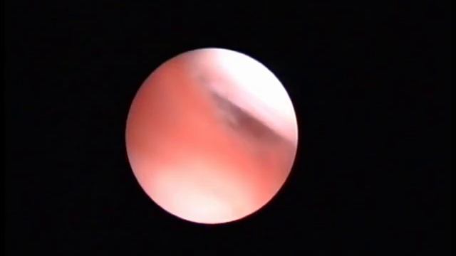 Тренировки с железом