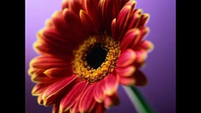 Очень хорошая песня про учителей!!! смотреть онлайн