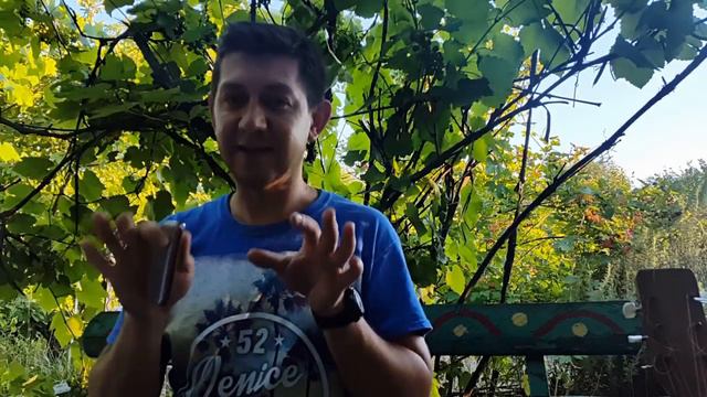 Блюз на двух основных нотах Урок № 22.How to play the blues on the harmonica. Part 2 смотреть онлайн