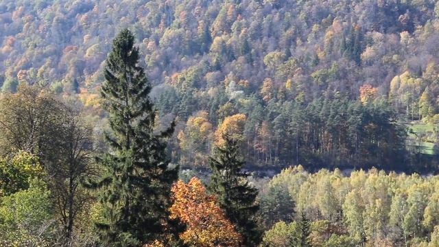 Влог. Город Сигулда, Латвия / Sigulda City, Latvia