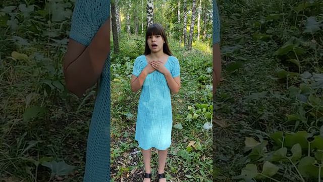 КАК ДОРОГ МНЕ РОДИМЫЙ КРАЙ. читает Демина Софина смотреть онлайн